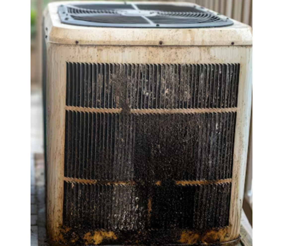 Untitled design - 2025-10-02T183205.191